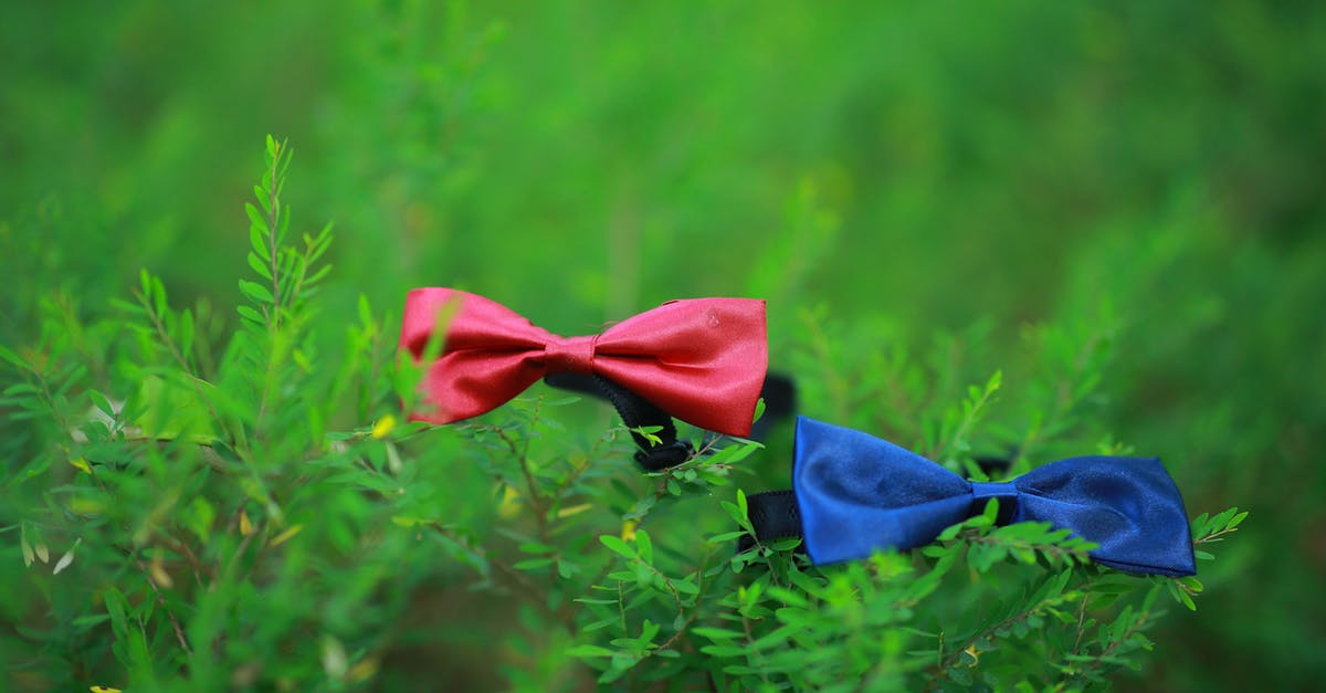 Dua Busur Merah dan Biru pada Tanaman Hijau · Stok Foto ...