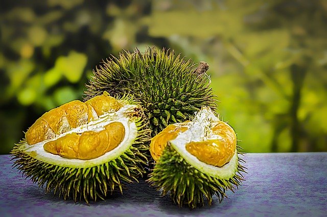 descriptive-text-durian-asaljeplak